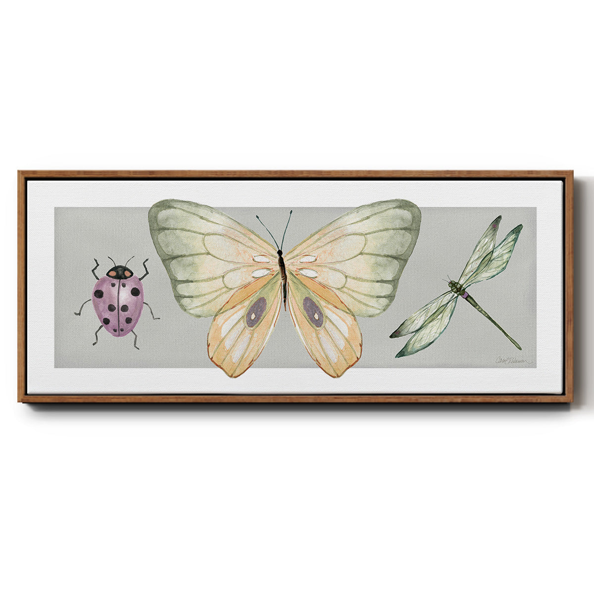 Pretty Insects I - Floater Framed Canvas Print