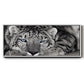 Snow Leopard Sanctuary - Floater Framed Canvas Print
