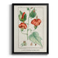 Turpin Tropical Botanicals IV - Modern Framed Canvas Print