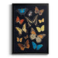 Collected Flutter IV - Modern Framed Canvas Print