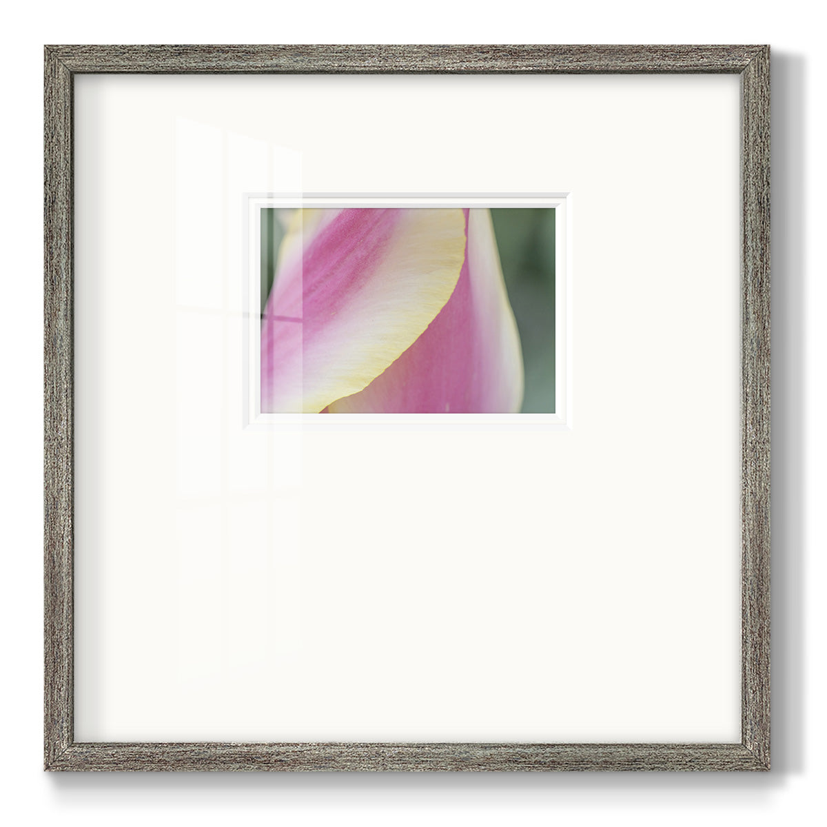 Delicate Premium Framed Print Double Matboard