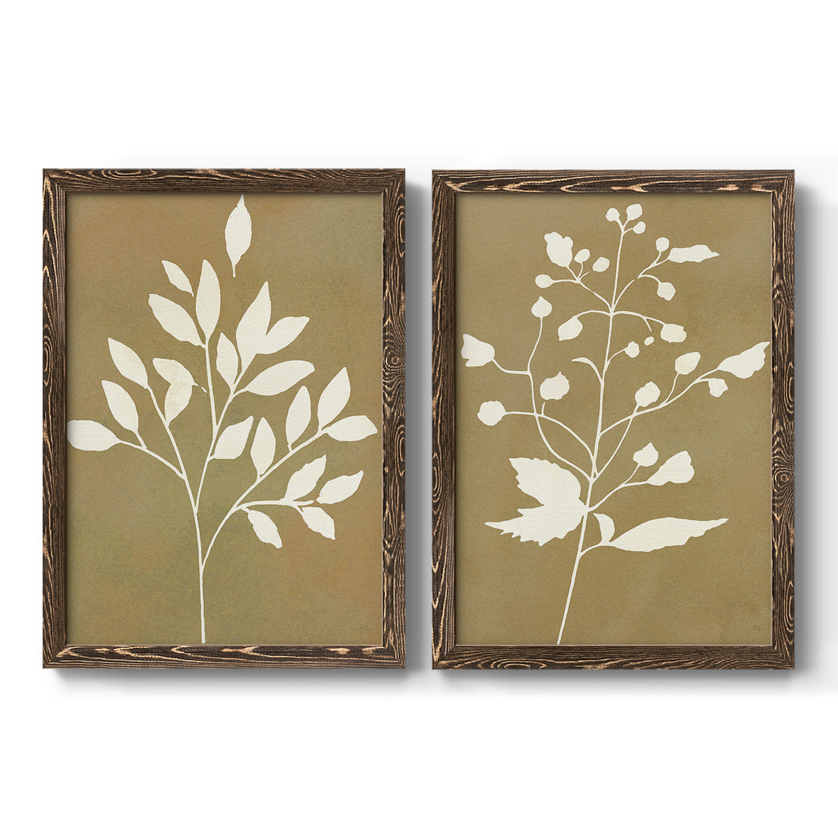 Honey Botanical I   - Premium Framed Canvas 2 Piece Set - Ready to Hang