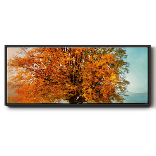 Autumn's Passion - Floater Framed Canvas Print