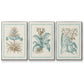 Willow Blue Besler I - Floater Framed Canvas Set