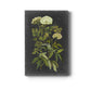 Bookplate Floral I Premium Gallery Wrapped Canvas - Ready to Hang