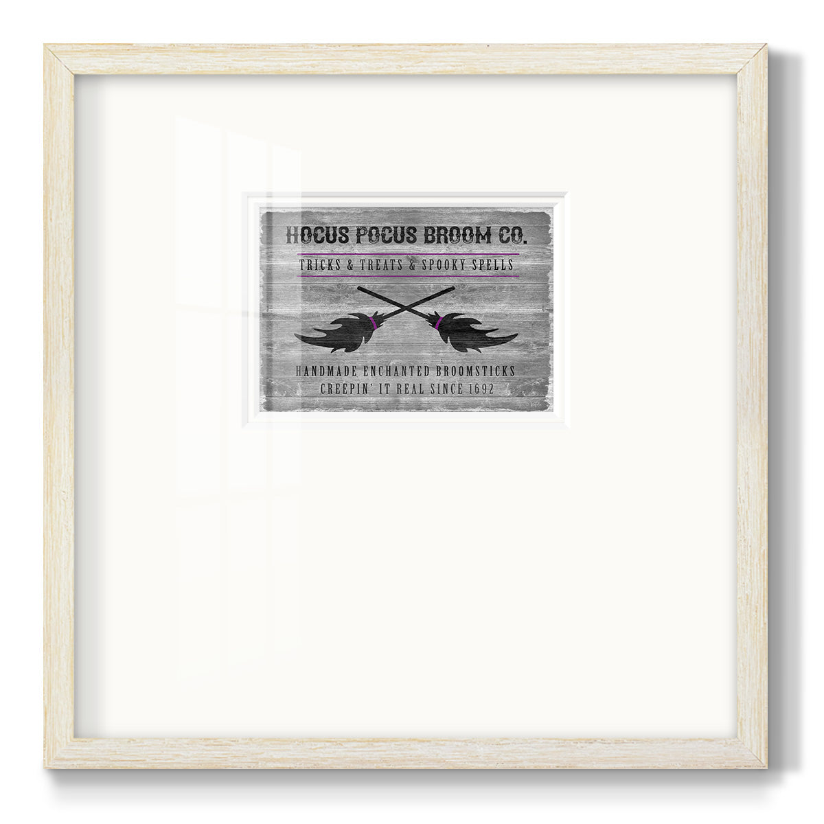 Hocus Pocus Broom Co Premium Framed Print Double Matboard