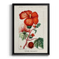 Turpin Tropical Botanicals VII - Modern Framed Canvas Print