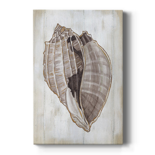 Ocean Cone II Premium Gallery Wrapped Canvas - Ready to Hang