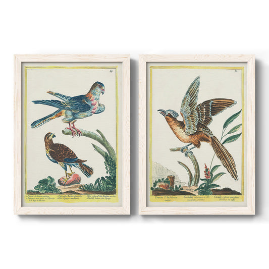 Pastel Birds III - Barnwood Framed Canvas Set