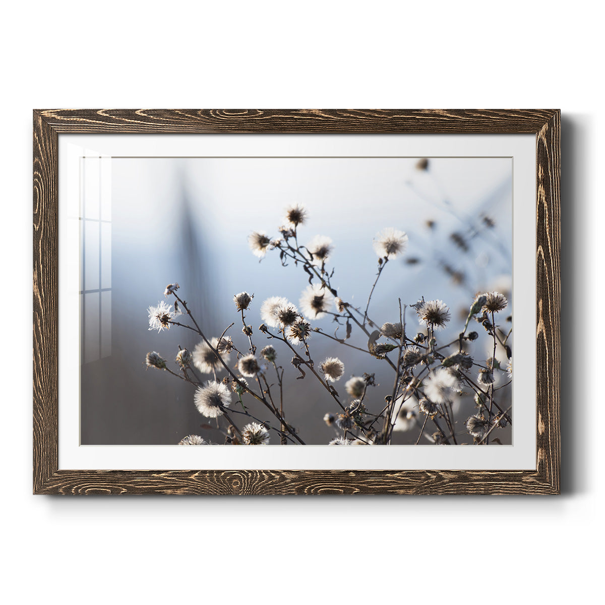 Spring Fluff - Barnwood Framed Art Print