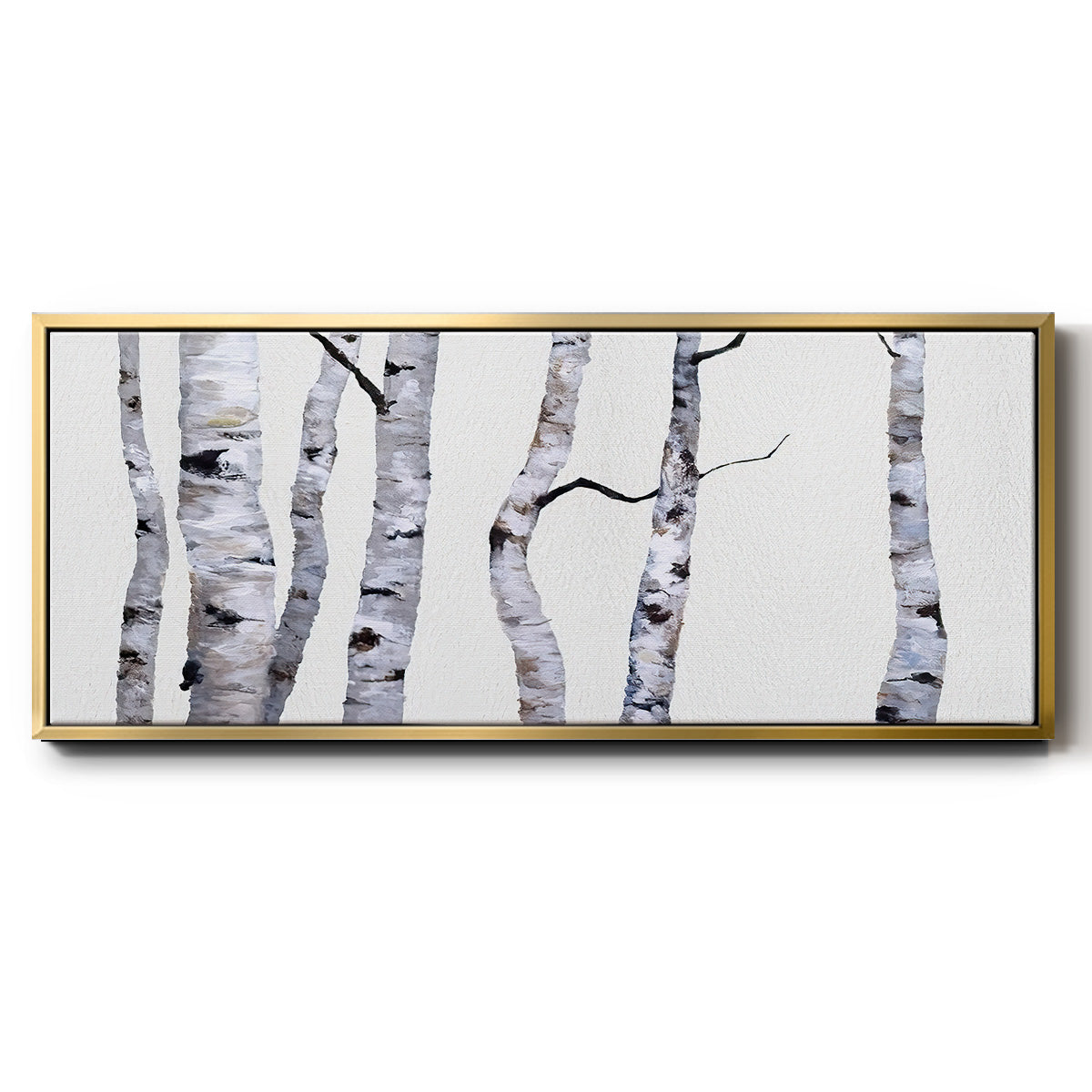 Birch Trees I - Floater Framed Canvas Print