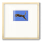 The Wild Leopard I - Double Matboard Framed Print