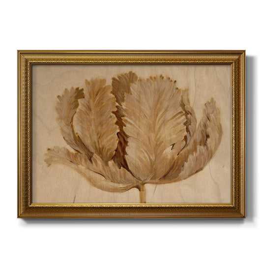 Sepia Tulip on Birch II - Ornate Framed Canvas Print