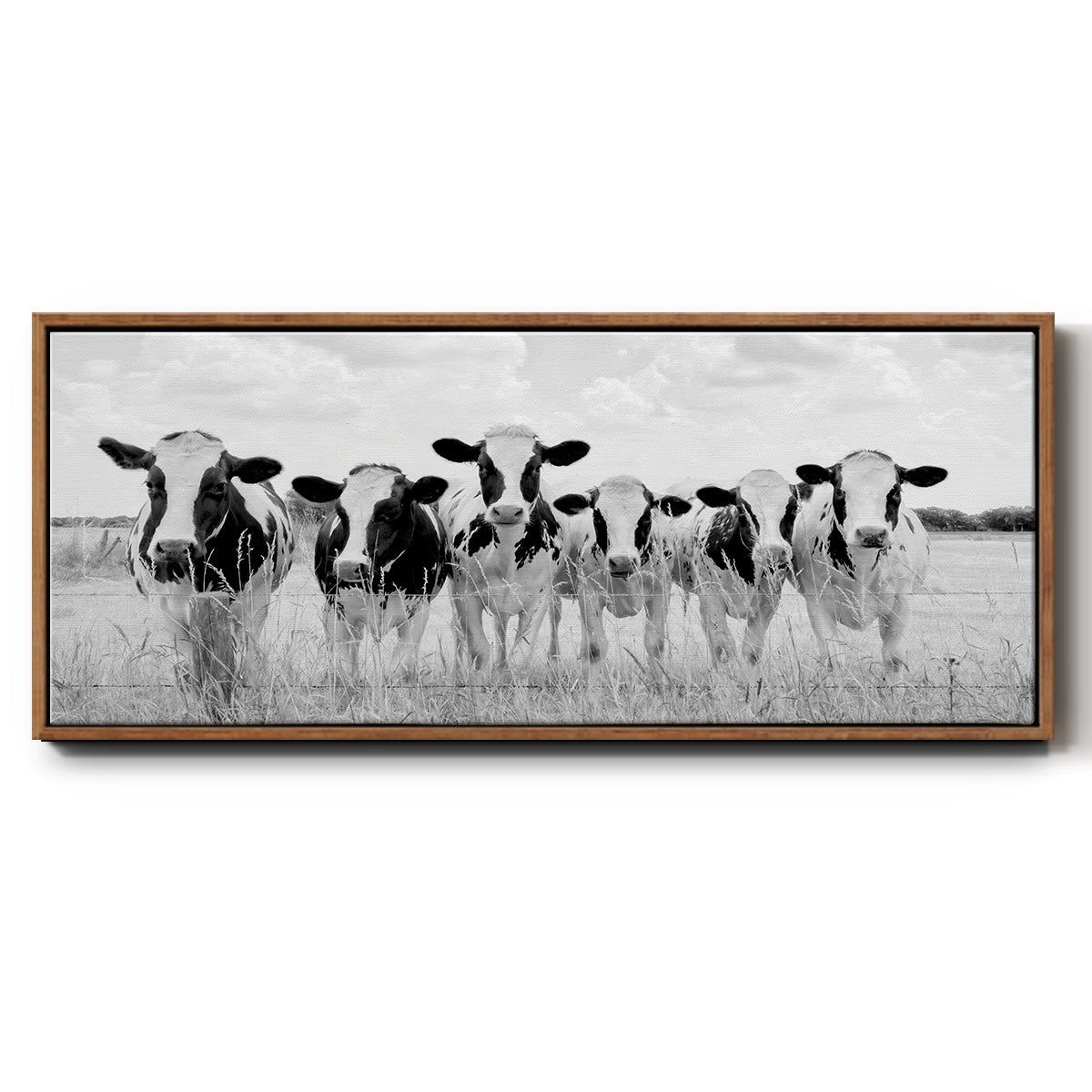 Grazing Pasture - Floater Framed Canvas Print
