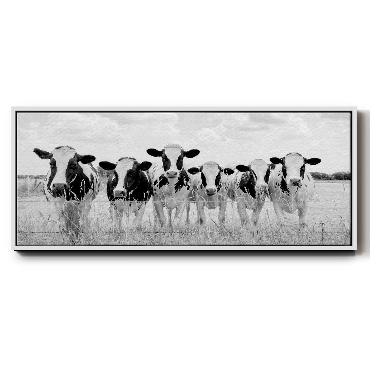 Grazing Pasture - Floater Framed Canvas Print