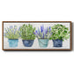 Fresh Herb Collection - Floater Framed Canvas Print