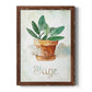 Potted Sage - Barnwood Framed Canvas Print