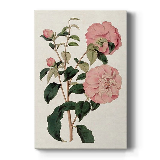 Pink Floral Mix IV - Canvas Art Print