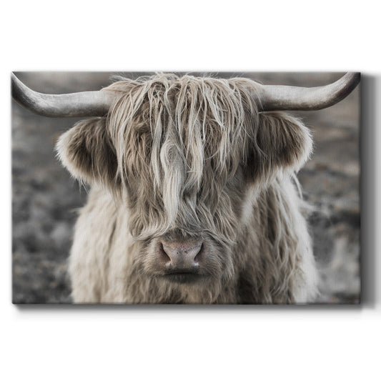 Highland Skye - Canvas Art Print