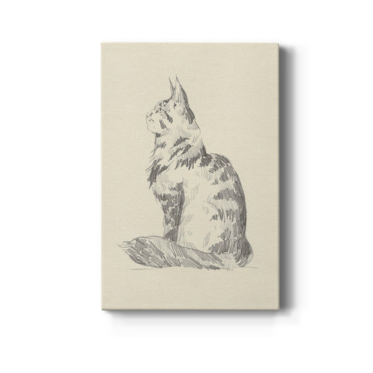 House Cat II Premium Gallery Wrapped Canvas - Ready to Hang