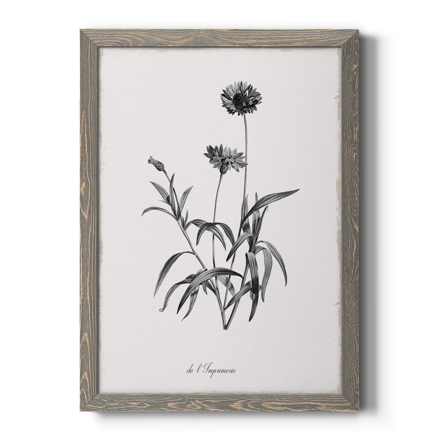 Simply Imperial - Premium Canvas Framed in Barnwood - Ready to Hang