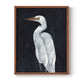 Calm Great Egret I - Restickable Framed Art Print