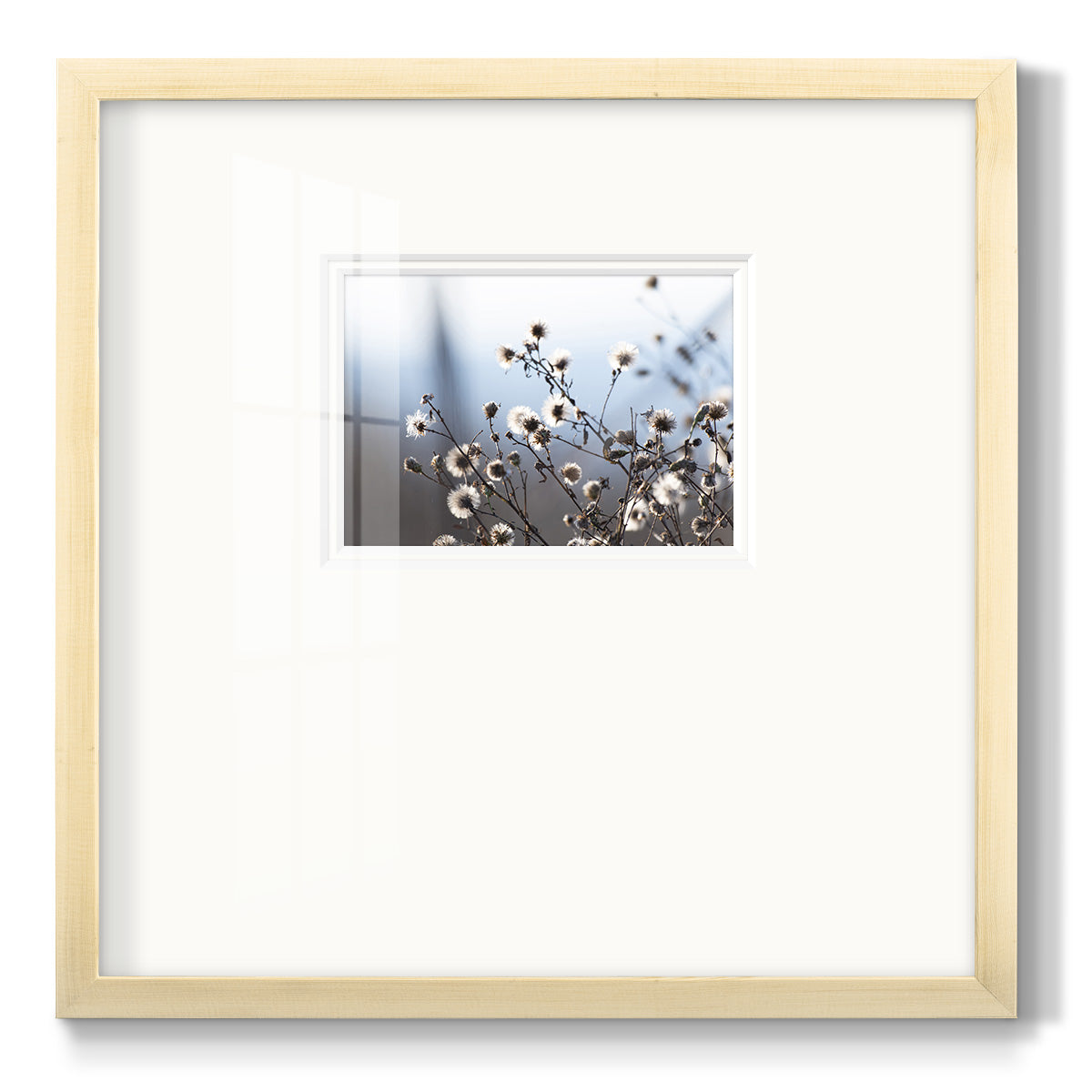 Spring Fluff - Double Matboard Framed Print