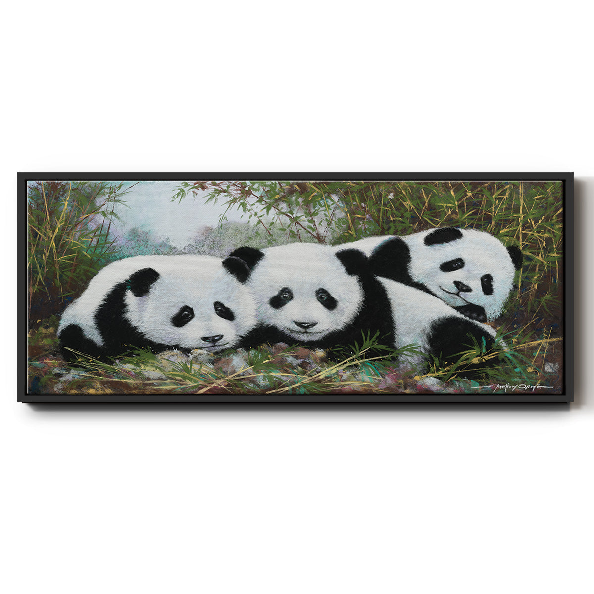 Panda Play - Floater Framed Canvas Print
