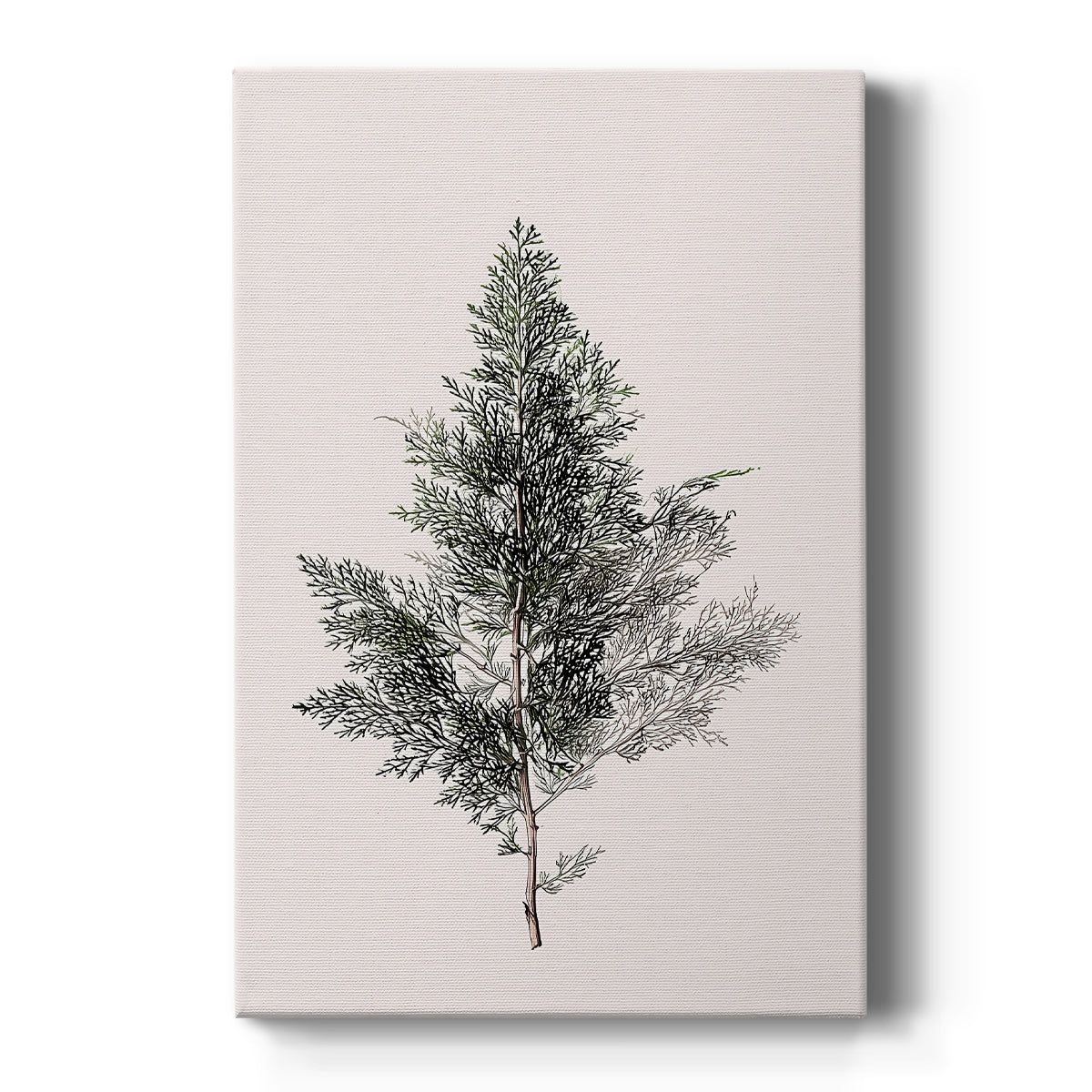 Snowwhite Promise of Hearth - Canvas Art Print