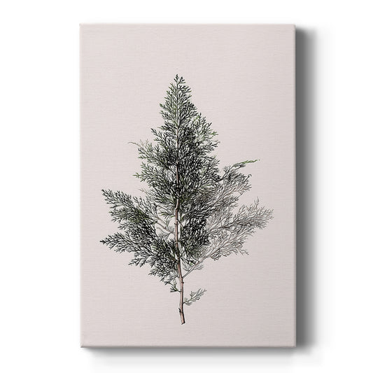 Snowwhite Promise of Hearth - Canvas Art Print