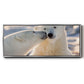 Polar Bear Kiss - Floater Framed Canvas Print