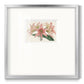 Amaryllis Varietals I - Double Matboard Framed Print