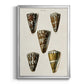 Cone Shell Collection V - Modern Framed Canvas Print