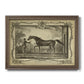 Distinguished Horses IV Premium Framed Canvas- Ready to Hang