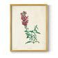 Traditional Botanical I - Restickable Framed Art Print