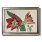 Amaryllis Splendor I Premium Framed Canvas- Ready to Hang