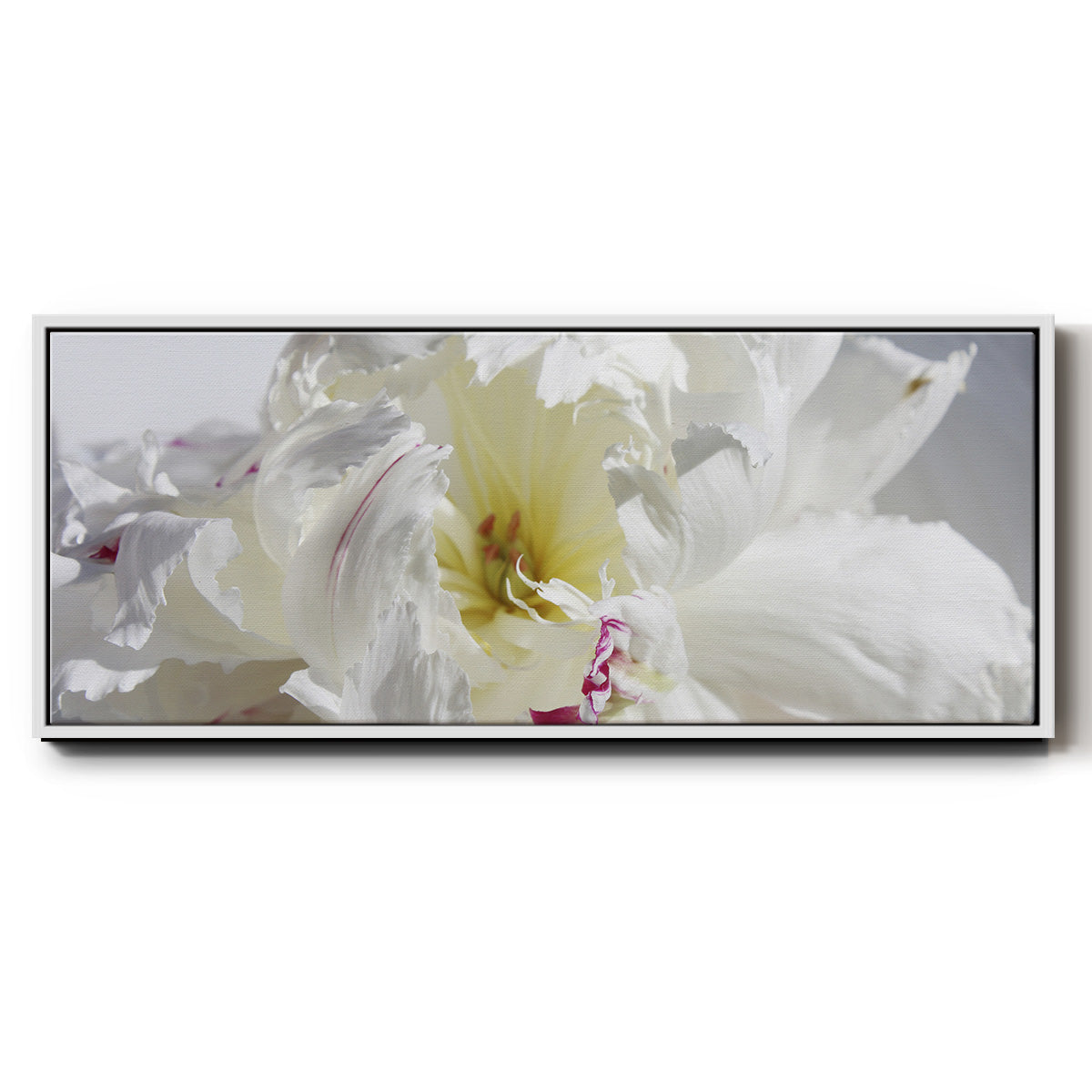 Breathless IV - Floater Framed Canvas Print
