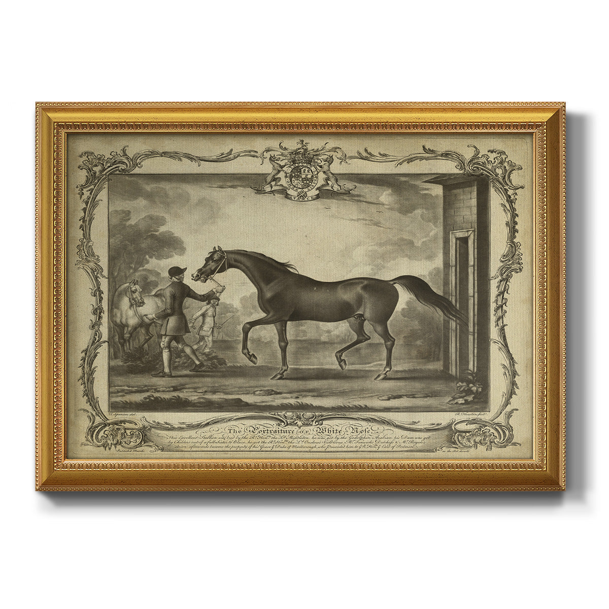 Distinguished Horses IV Premium Framed Canvas- Ready to Hang