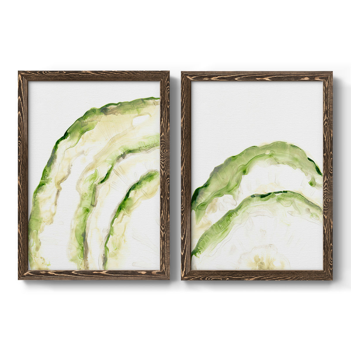 Lichen Halo I - Premium Framed Canvas 2 Piece Set - Ready to Hang