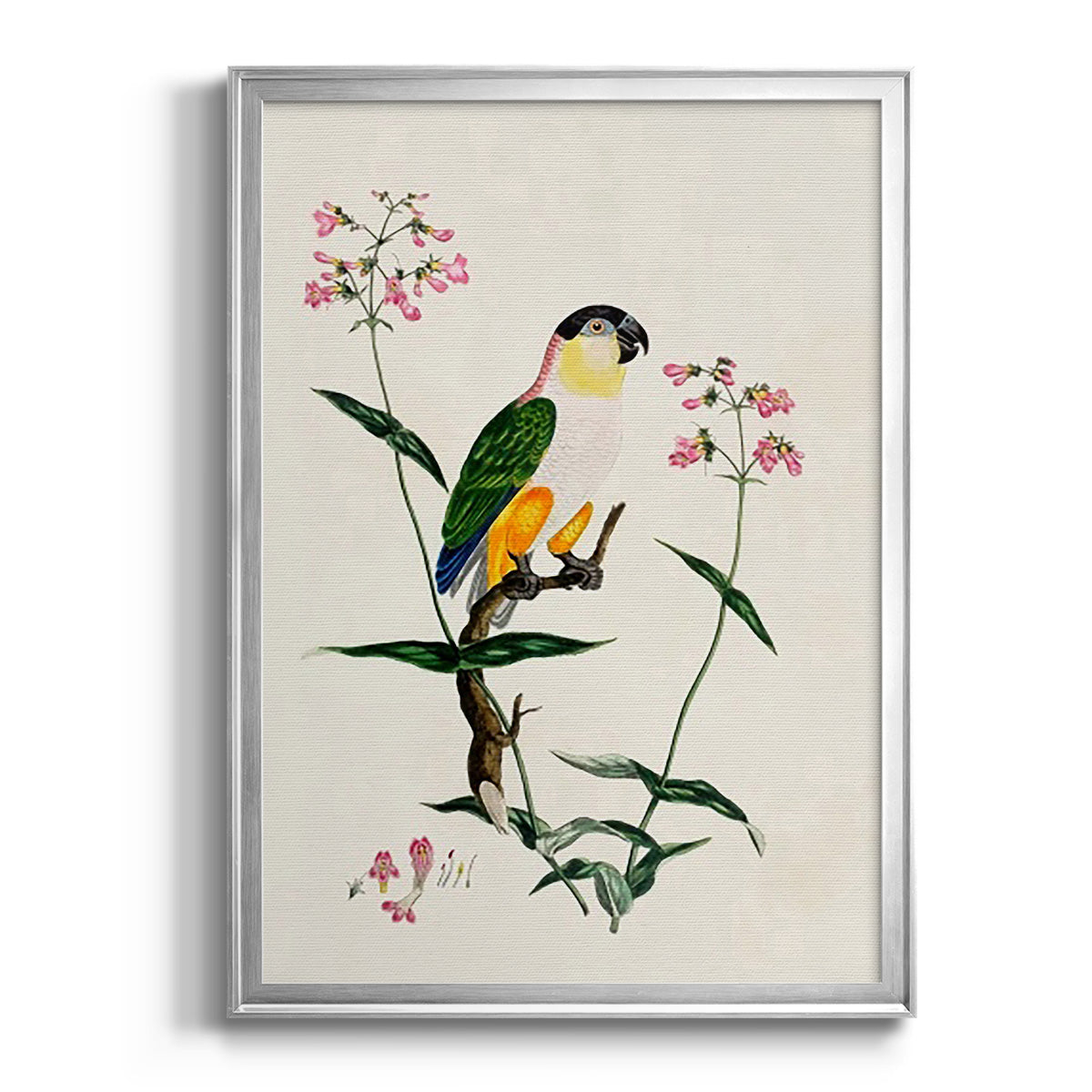 Bird in Habitat IV - Modern Framed Canvas Print