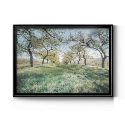 Charming Spring Mood - Modern Framed Canvas Print