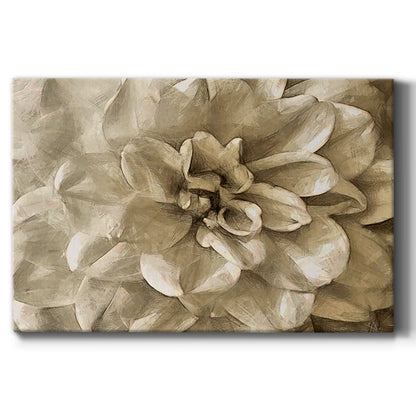 Neutral Wall Flower III - Canvas Art Print