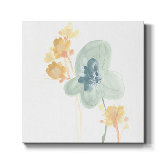 Petite Petals I - Canvas Art Print