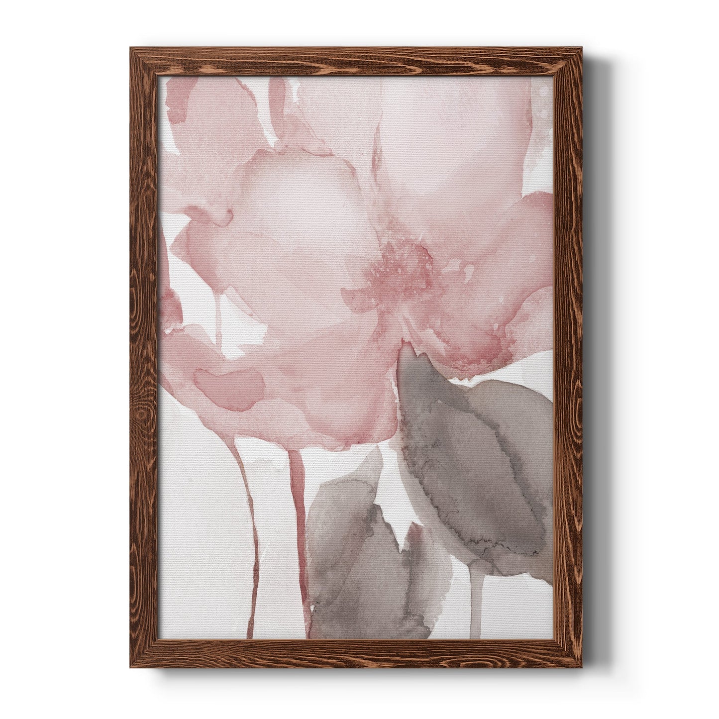 Blush Bloom II - Barnwood Framed Canvas Print