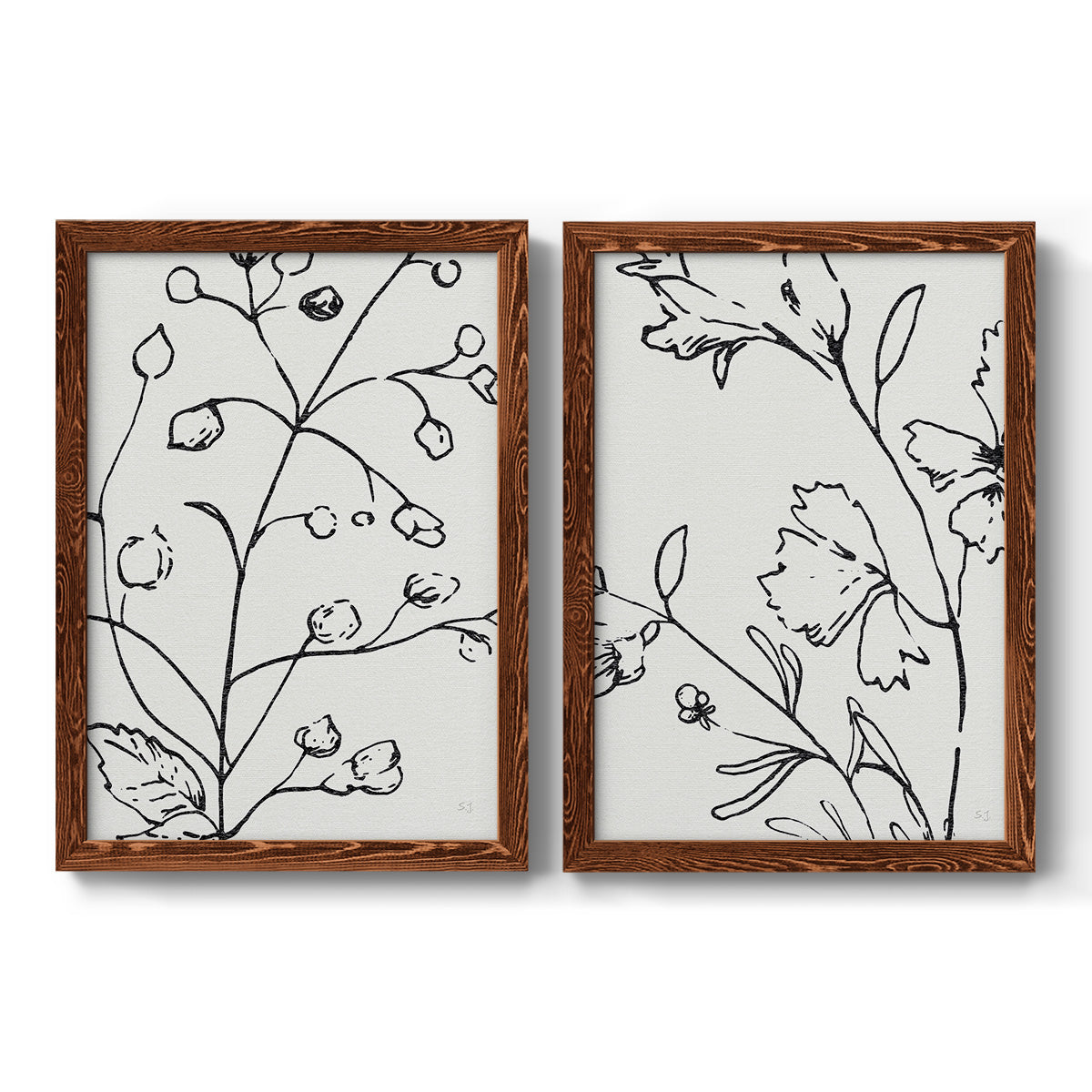 Botanical Sketch I   - Premium Framed Canvas 2 Piece Set - Ready to Hang