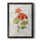 Linen Geranium - Barnwood Framed Canvas Print