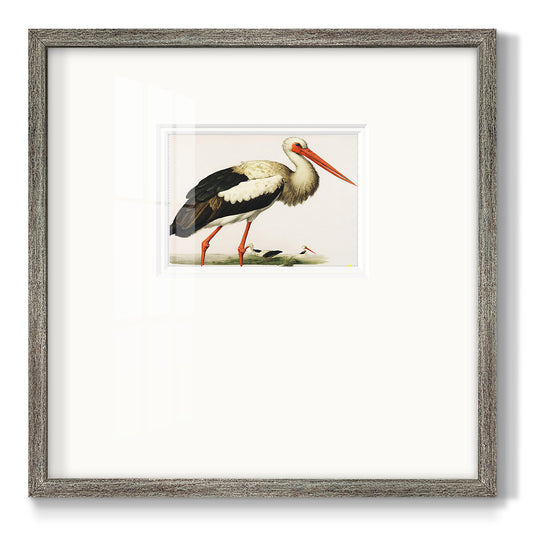 Odd Crane Premium Framed Print Double Matboard