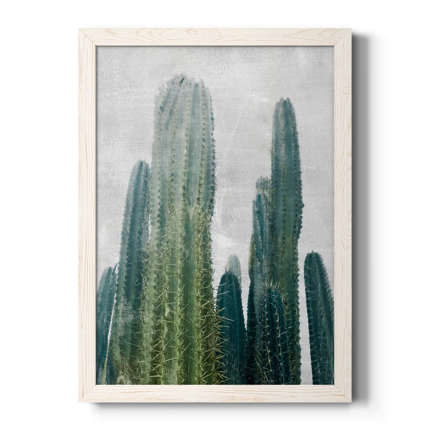 Aruba Cacti I - Barnwood Framed Canvas Print