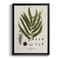 Botanical Society Ferns II - Modern Framed Canvas Print