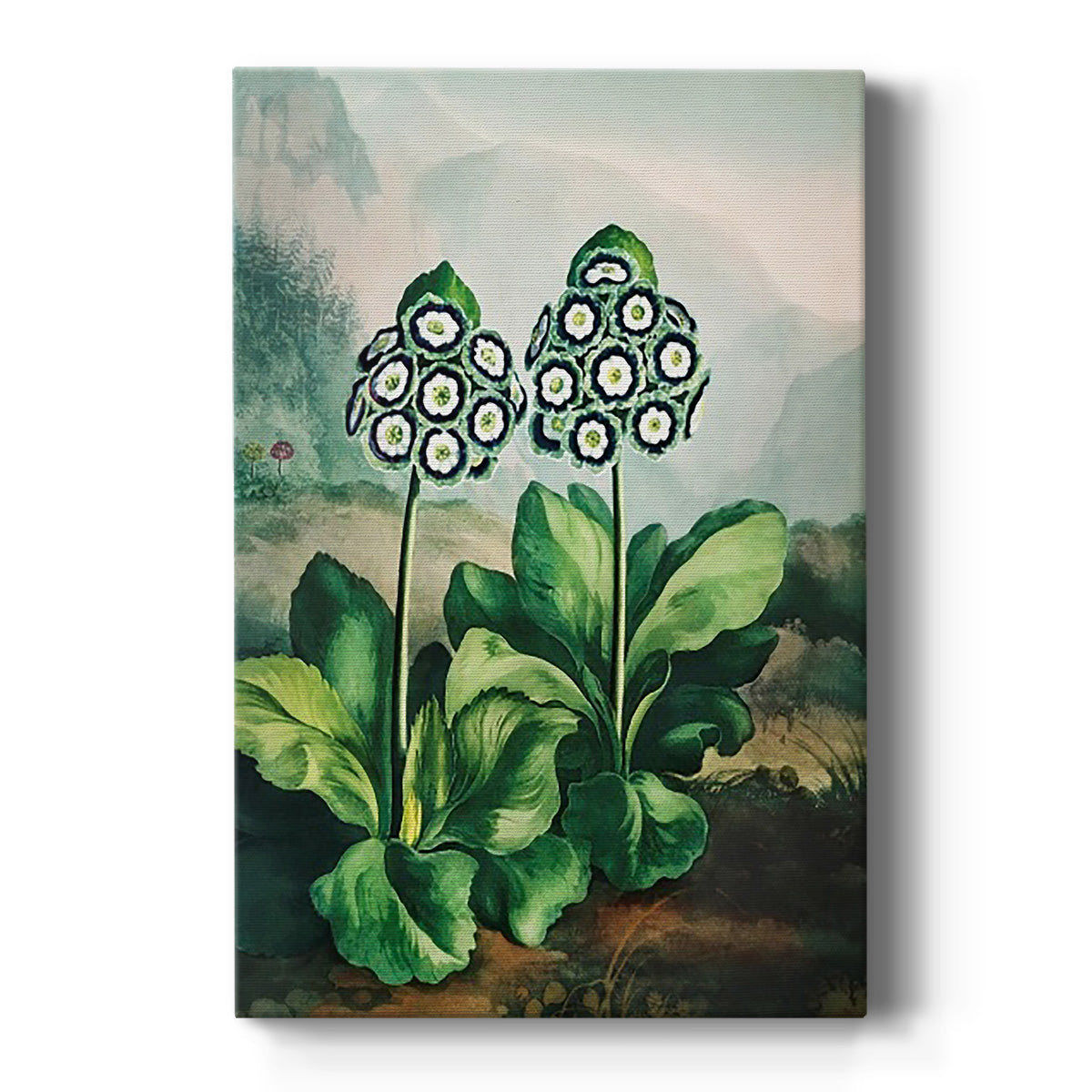 Temple of Flora XI - Canvas Art Print